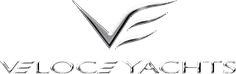 Veloce_logo_04 (1)